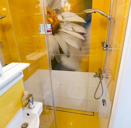 Sunshine * 索菲亞