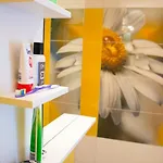 Sunshine